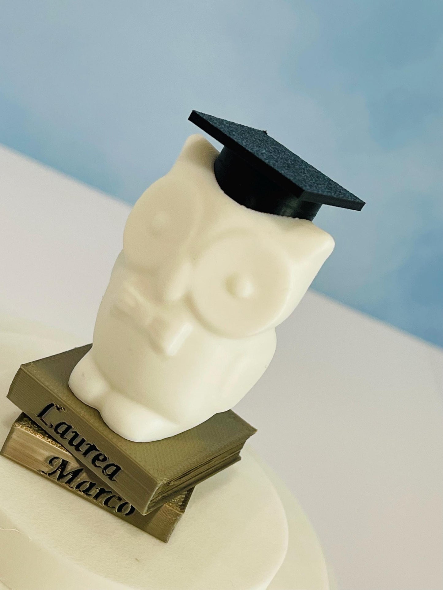 Custom Name Graduation Owl Figurine 3D Printed Personalized Gift for Graduates 2025 Keepsake Owl on Books with Cap Unique Grad Party Favor