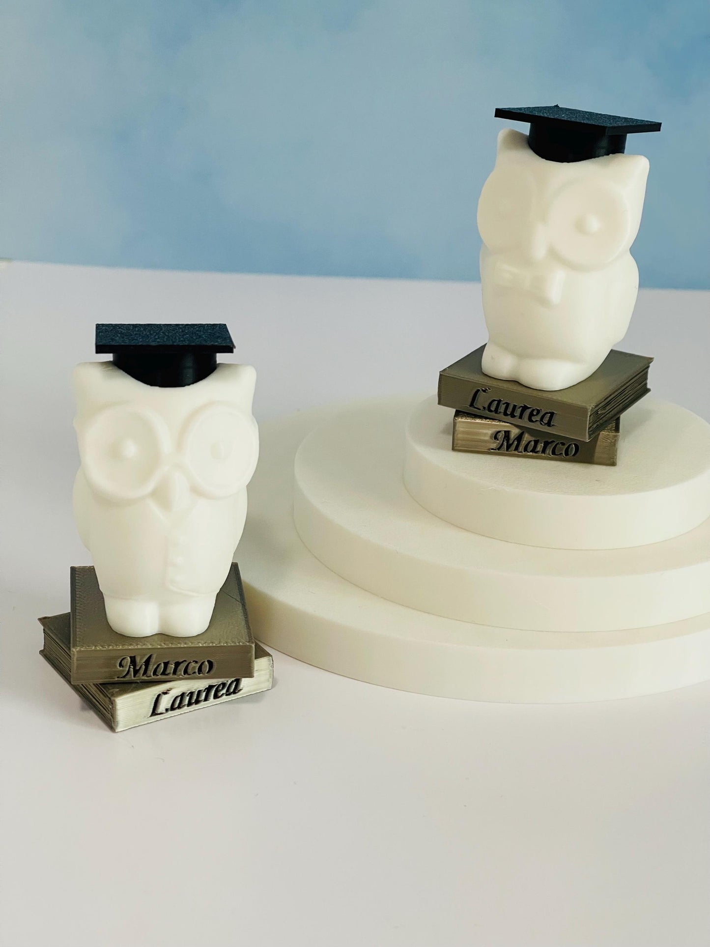 Custom Name Graduation Owl Figurine 3D Printed Personalized Gift for Graduates 2025 Keepsake Owl on Books with Cap Uniqu