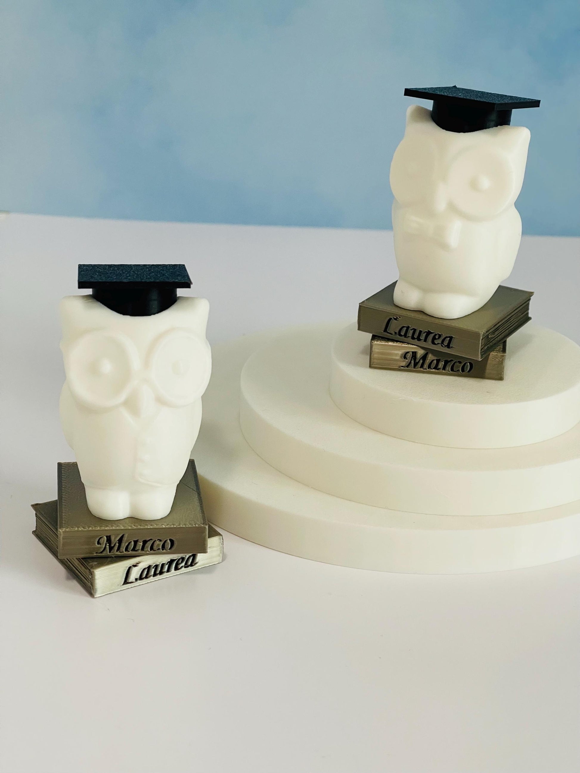 Custom Name Graduation Owl Figurine 3D Printed Personalized Gift for Graduates 2025 Keepsake Owl on Books with Cap Uniqu
