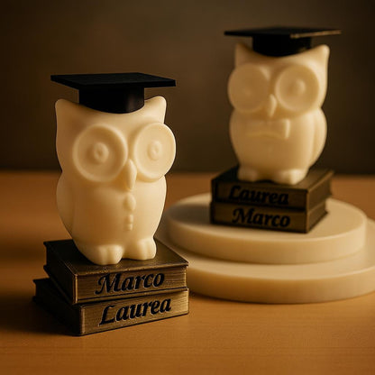 Custom Name Graduation Owl Figurine 3D Printed Personalized Gift for Graduates 2025 Keepsake Owl on Books with Cap Unique Grad Party Favor