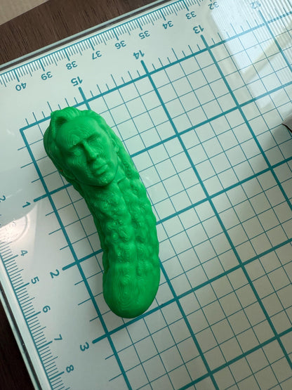 Picolas Cage Fridge magnet Funny 3D Printed Hilarious Nicolas Cage inspired Fridge Decor Meme Gift coworkers GAG meme Nicolas Pickle Magnet