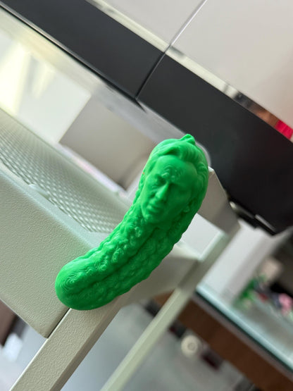 Picolas Cage Fridge magnet Funny 3D Printed Hilarious Nicolas Cage inspired Fridge Decor Meme Gift coworkers GAG meme Nicolas Pickle Magnet