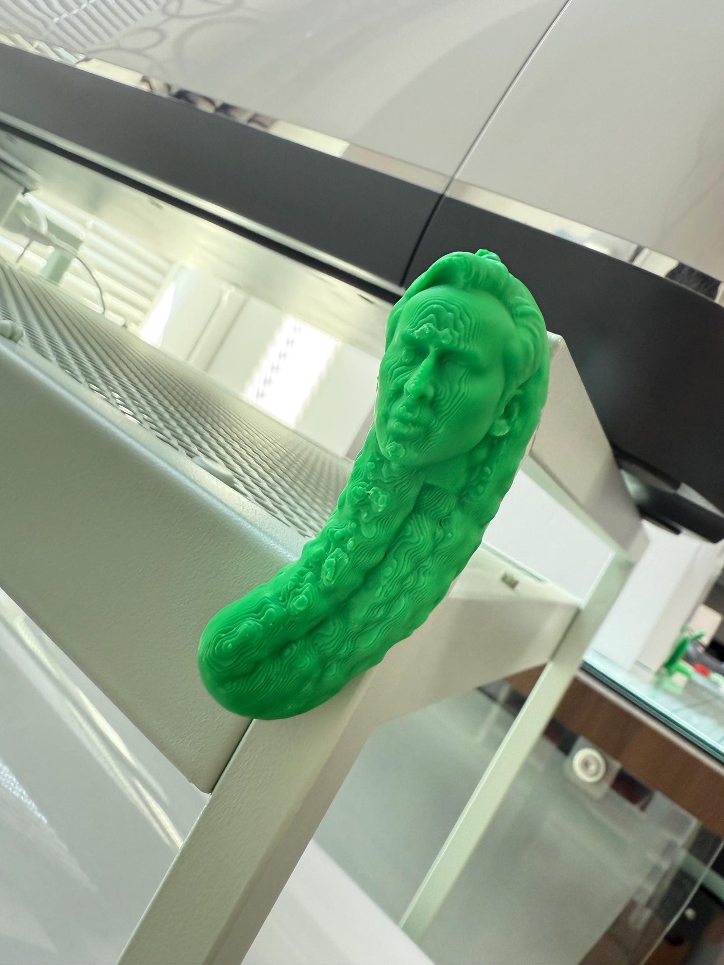 Picolas Cage Fridge magnet Funny 3D Printed Hilarious Nicolas Cage inspired Fridge Decor Meme Gift coworkers GAG meme Nicolas Pickle Magnet