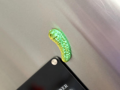 Picolas Cage Fridge magnet Funny 3D Printed Hilarious Nicolas Cage inspired Fridge Decor Meme Gift coworkers GAG meme Nicolas Pickle Magnet