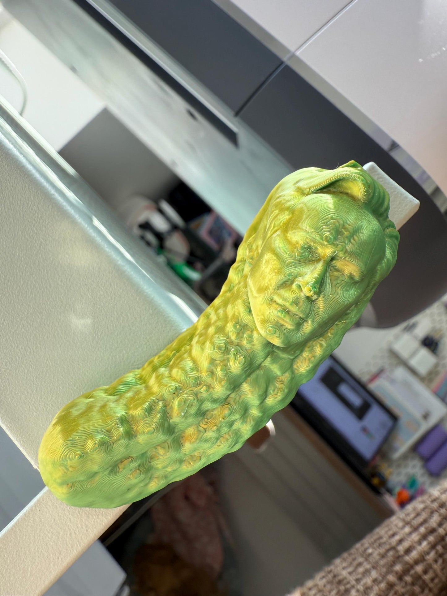 Picolas Cage Fridge magnet Funny 3D Printed Hilarious Nicolas Cage inspired Fridge Decor Meme Gift coworkers GAG meme Ni