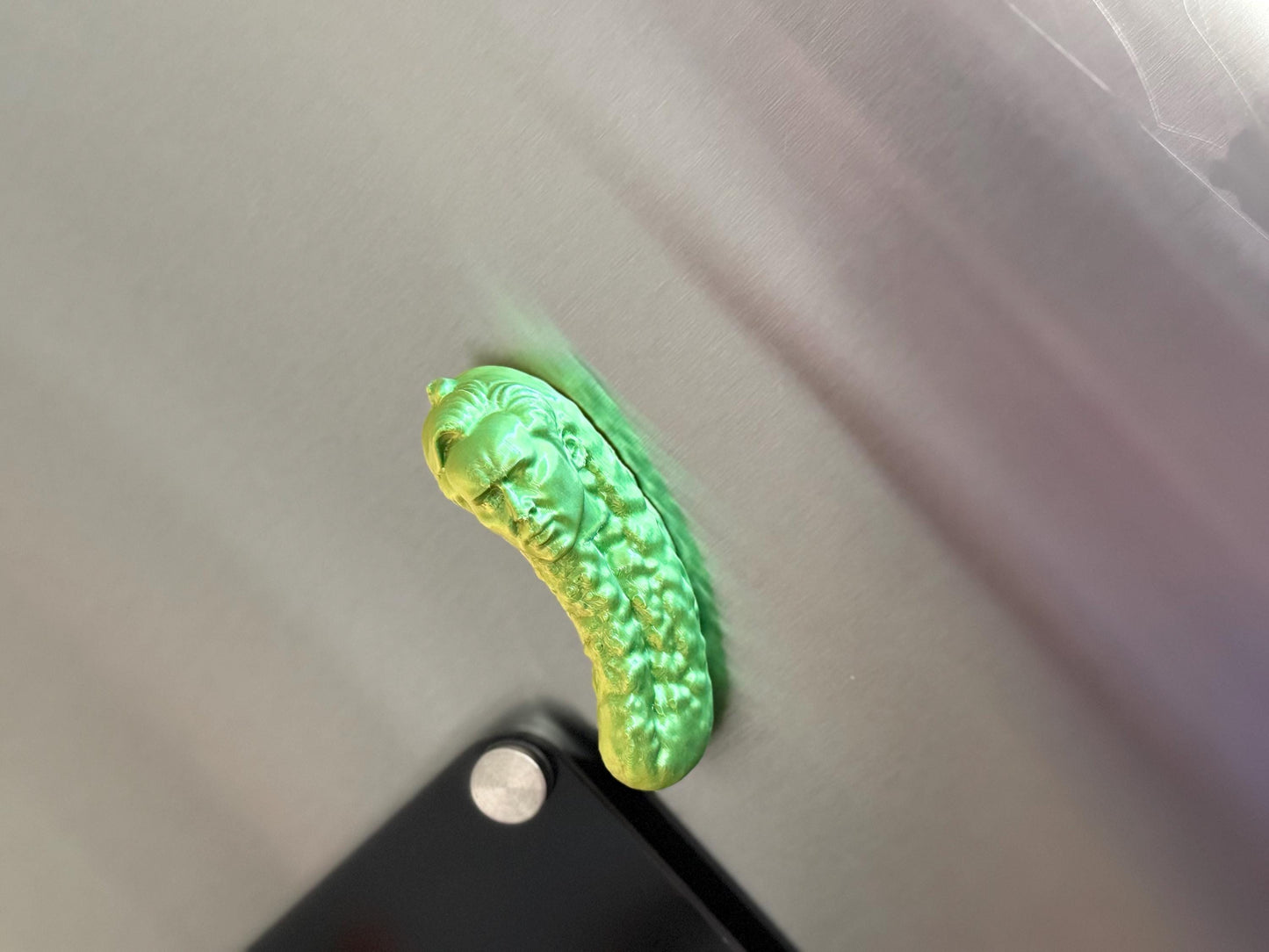 Picolas Cage Fridge magnet Funny 3D Printed Hilarious Nicolas Cage inspired Fridge Decor Meme Gift coworkers GAG meme Nicolas Pickle Magnet
